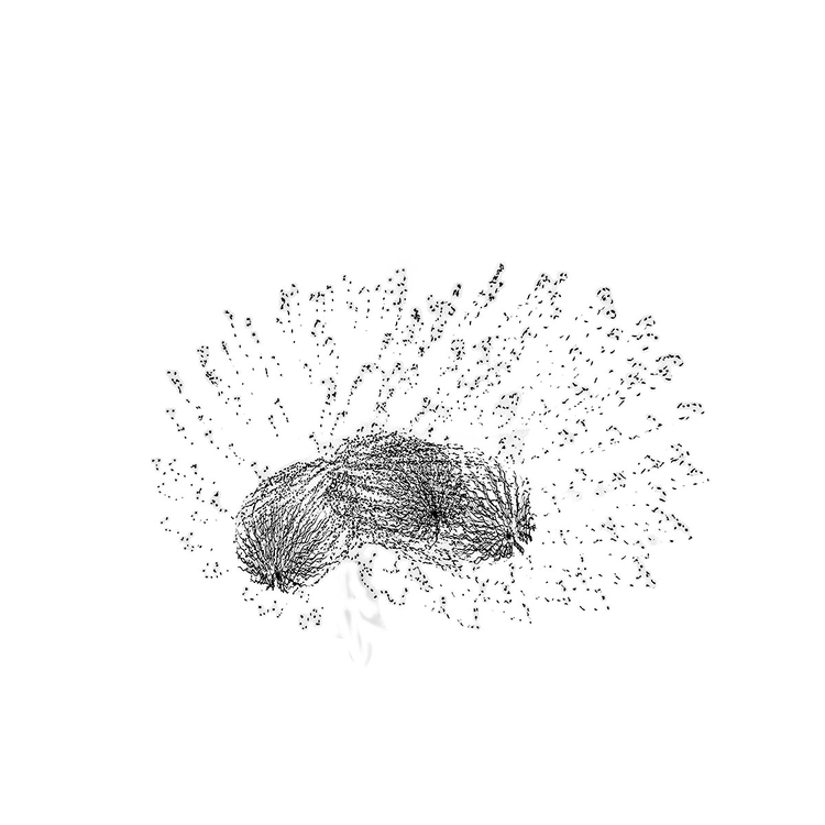 Zygote, At Burst Point, Chicago, 2009
