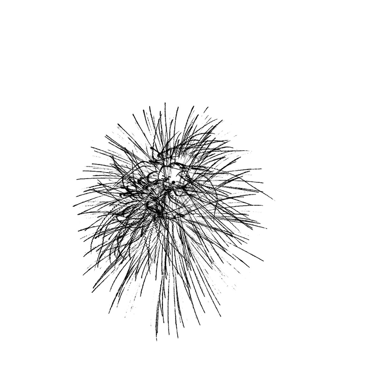 Entropy, At Burst Point, Chicago, 2009