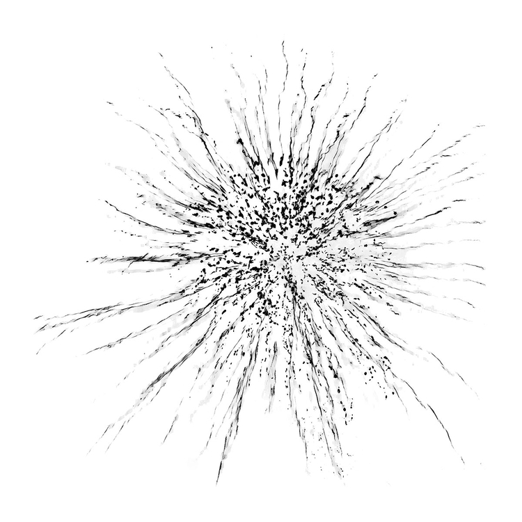 Supernova, At Burst Point, Chicago, 2009