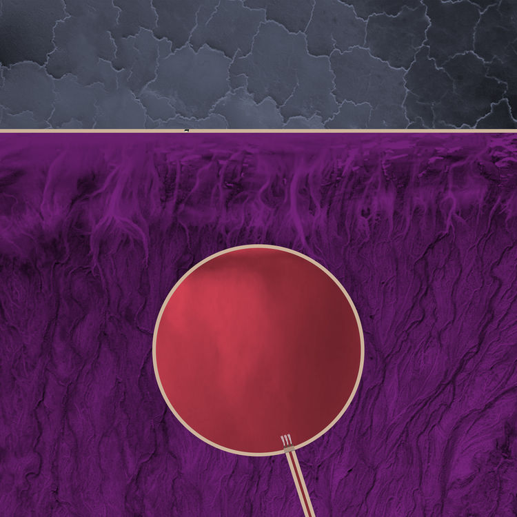Purple Haze, Colorfields: Landscapes of Progress, 2022-2024