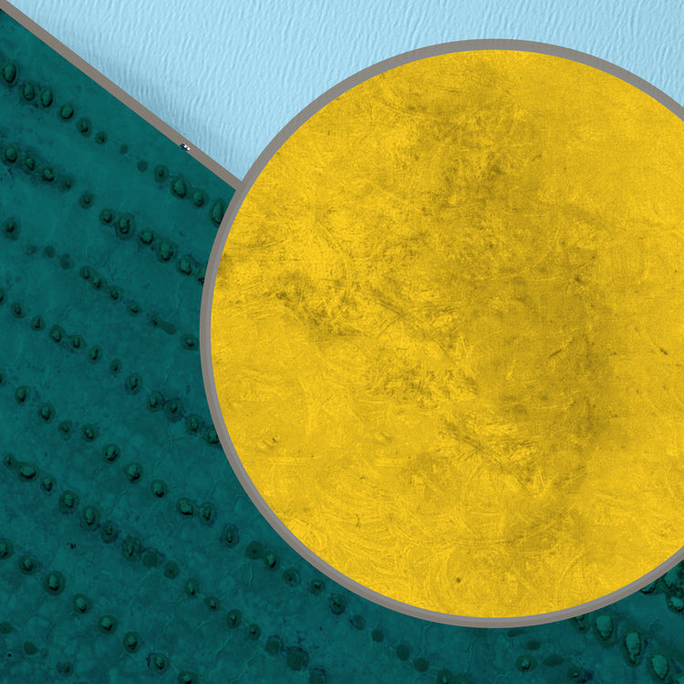 Cadmium Sun, Colorfields: Landscapes of Progress, 2022-2024