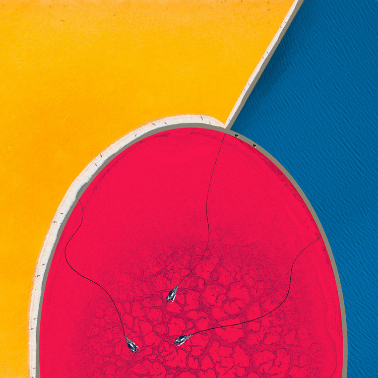 Primary Contaminants, Colorfields: Landscapes of Progress, 2022-2024