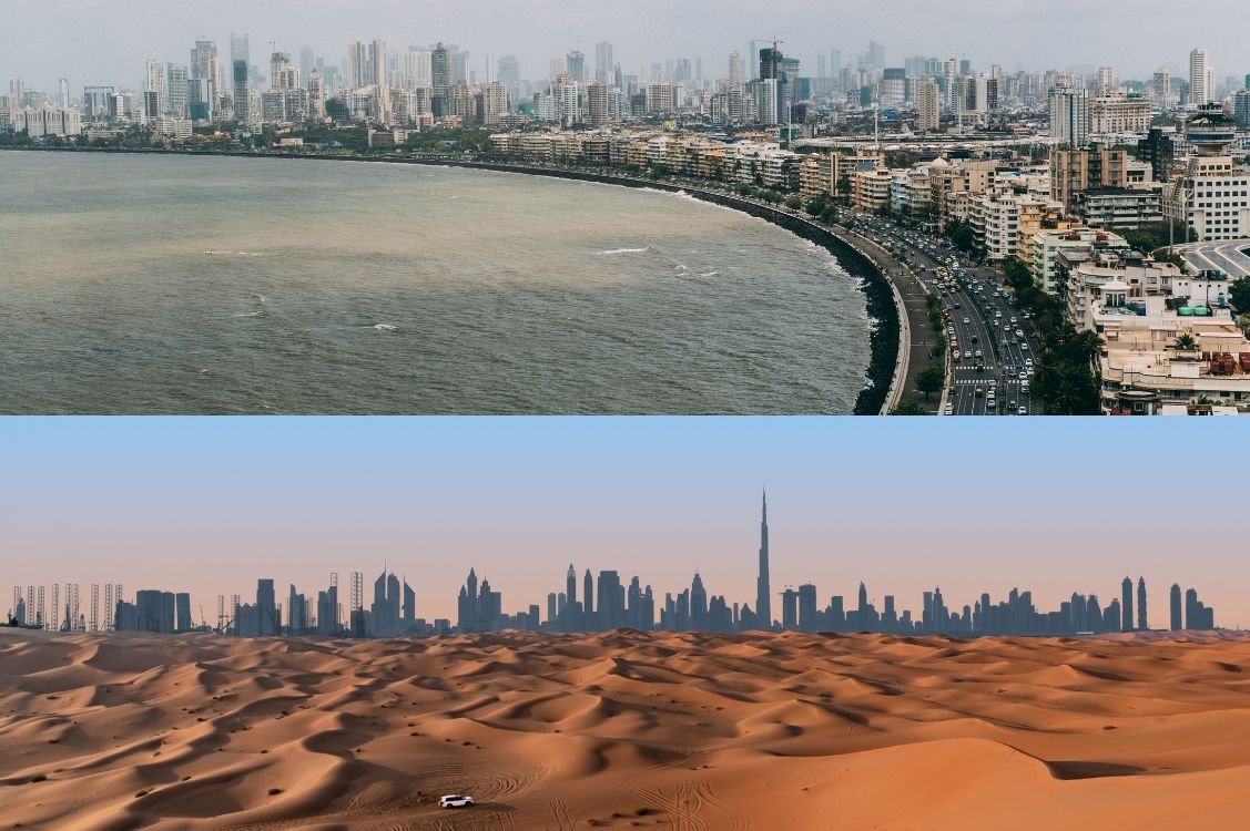 Learn more about my photography.