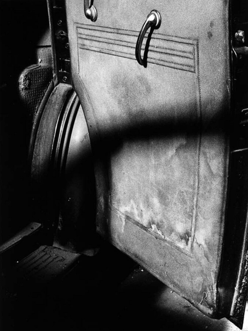 Rear Door, LaSalle Sedan, Philadelphia, 2013